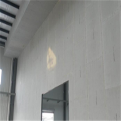 大英宁波ALC板|EPS加气板隔墙与混凝土整浇联接的实验研讨